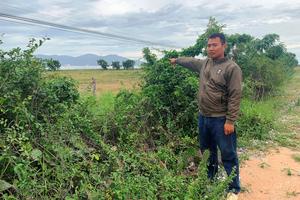 Cần xem xét lại bản án sơ thẩm của TAND huyện Thuận Nam