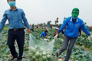 Đảm bảo tiêu thụ nông sản an toàn khi dịch bệnh Covid-19 phức tạp