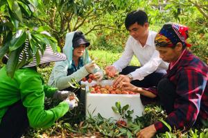 Khó trăm bề tiêu thụ nông sản do dịch Covid-19