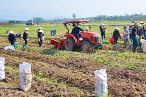 Quảng Ninh: "Gỡ khó" tiêu thụ nông sản trong đại dịch Covid-19

​