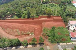 Thanh tra toàn diện tại khu vực dọc đường Lý Thái Tổ