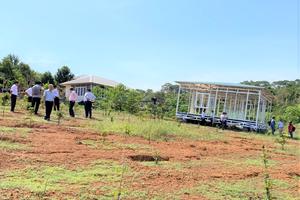 Phê bình Chủ tịch UBND huyện Đắk R’lấp do chậm xử lý vi phạm