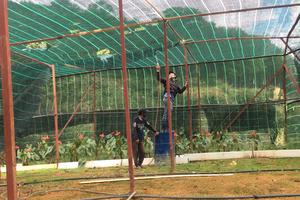 Chấn chỉnh, xử lý các công trình xây dựng trên đất lâm nghiệp