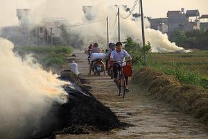 Tăng cường kiểm tra, xử lý nghiêm việc đốt rơm rạ không đúng quy định, gây ô nhiễm môi trường