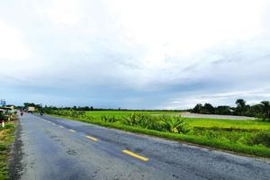 Quyết định số 53 của Chủ tịch huyện Tháp Mười là phù hợp