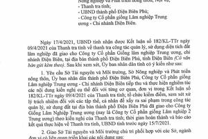 Cán bộ mắc sai phạm có “hạ cánh an toàn”?