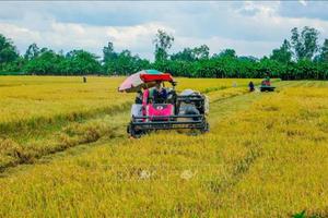 Giải pháp nào gỡ khó cho phát triển hợp tác xã ở Cần Thơ?