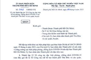 TP Hồ Chí Minh: Thành lập 22 tổ công tác đặc biệt hỗ trợ phòng, chống dịch Covid-19

