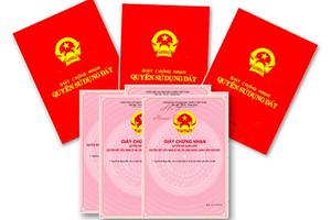 Xem xét kiến nghị của ông Bùi Duy Lân (Tuyên Quang)