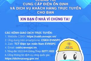 Tổng công ty Điện lực miền Nam: Khuyến khích khách hàng sử dụng dịch vụ trực tuyến