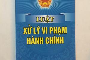 Đồng Tháp: Kiểm tra công tác thi hành pháp luật về xử lý vi phạm hành chính năm 2021
