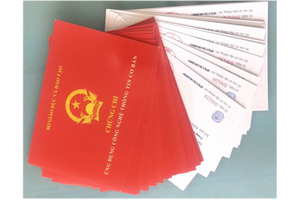 Chính sách mới nổi bật có hiệu lực từ tháng 8/2021 