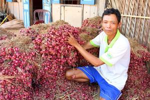 Tìm cách gỡ khó nguồn nguyên liệu gia vị chế biến sản phẩm ăn liền