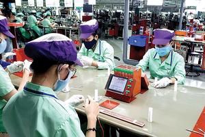 Hỗ trợ doanh nghiệp khôi phục hoạt động sản xuất kinh doanh