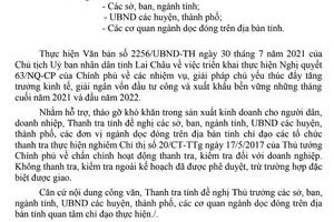 Lai Châu: Không thanh tra, kiểm tra ngoài kế hoạch