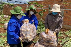 Chia sẻ khó khăn cùng người dân thành phố mang tên Bác vượt qua đại dịch