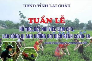 Cơ hội việc làm cho hơn 4.600 người bị ảnh hưởng bởi dịch bệnh COVID-19