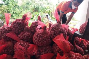 Tăng cường quản lý xuất, nhập khẩu để hỗ trợ sản xuất và tiêu dùng trong nước