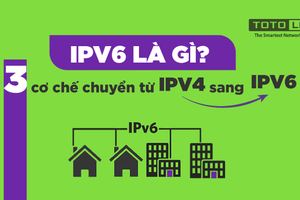 Ưu tiên chuyển đổi IPv6 cho cổng thông tin điện tử mức độ 3, mức độ 4