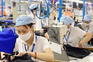 Linh hoạt biện pháp để phát triển BHXH bắt buộc trong bối cảnh Covid-19