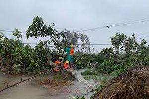 Khẩn trương khắc phục hậu quả bão số 5 và chủ động ứng phó mưa lũ