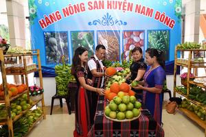 Cần nhiều giải pháp hơn nữa để phát triển vùng đồng bào DTTS 