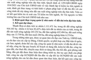 11.000 hộ gia đình, cá nhân và tổ chức vi phạm xây dựng công trình trái phép