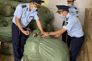 Lạng Sơn thu giữ 6 tạ nấm lim và linh chi