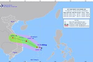 Áp thấp nhiệt đới có khả năng mạnh lên thành bão, gây mưa to từ Hà Tĩnh đến Bình Định 