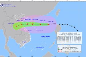 Công điện: Tập trung ứng phó với bão số 8 và mưa lũ sau bão
