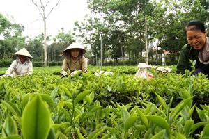 Khởi sắc ở vùng dân tộc, miền núi Thủ đô