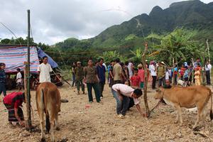 Nhiều đề án giúp đồng bào dân tộc thiểu số và miền núi được thực hiện đúng tiến độ