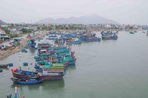 Khẩn trương triển khai các phương án ứng phó áp thấp nhiệt đới