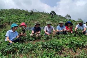 Những đổi thay diệu kỳ ở khu vực miền Tây