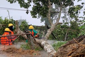 Khắc phục hậu quả thiên tai 4 tại chỗ + 5K + Vắcxin