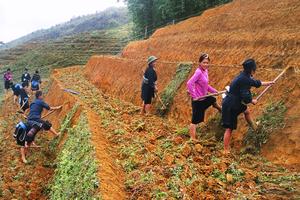 Giảm thiểu nạn tảo hôn và hôn nhân cận huyết thống 
