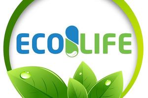 Công ty Cổ phần DP Ecolife bị xử phạt do vi phạm an toàn thực phẩm và quyền tác giả