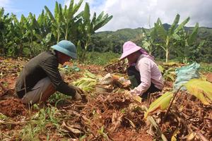Đổi thay nhờ chính sách dân tộc