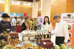 Khoa học và công nghệ - Giải pháp thúc đẩy phát triển vùng dân tộc thiểu số