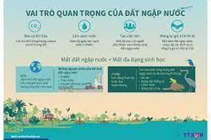 Kế hoạch hành động quốc gia về bảo tồn và sử dụng bền vững các vùng đất ngập nước giai đoạn 2021 – 2030