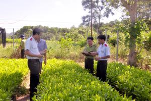 Điều chỉnh kế hoạch thanh tra phù hợp với tình hình, diễn biến của dịch Covid-19