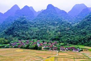 Phong trào toàn dân đoàn kết xây dựng đời sống văn hóa gắn với công tác dân tộc đạt nhiều kết quả
