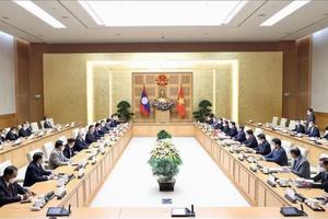 Tình hữu nghị Việt Nam - Lào: “Hạt gạo cắn đôi, cọng rau bẻ nửa”