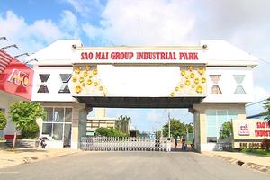 Sao Mai Group (ASM) chuẩn bị phát hành 78 triệu cổ phiếu trả cổ tức dù kết quả kinh doanh giảm sút