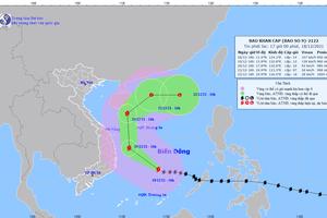 Bão số 9 đang hướng về vào các tỉnh Bình Định, Khánh Hòa