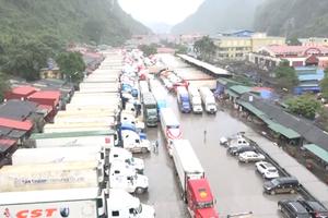 Triển khai đồng bộ các giải pháp bảo đảm không đứt gãy chuỗi sản xuất nông nghiệp