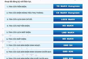 Nhắn tin tra cứu thông tin dịch vụ điện qua Tổng đài SMS 8079