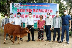 Ngân hàng Nhà nước Chi nhánh Nghệ An trao bò giống cho hộ nghèo huyện Quỳ Hợp