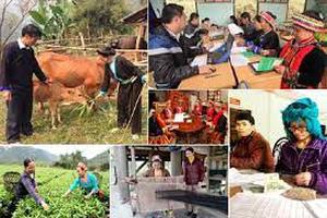 Quy chế hoạt động của Ban Chỉ đạo Trung ương các chương trình mục tiêu quốc gia