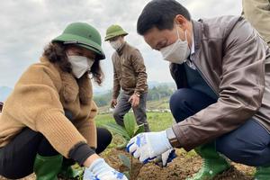 Phấn đấu hoàn thành nhiệm vụ với nhiều giải pháp quyết liệt, đồng bộ, hiệu quả